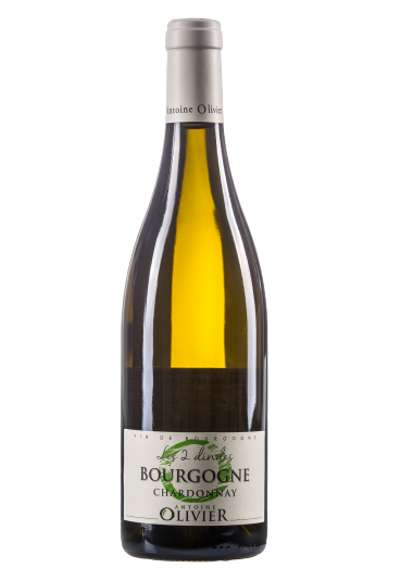 BOURGOGNE Chardonnay "Les 2 Dindes" 2018