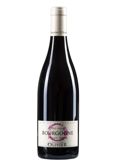 BOURGOGNE Pinot Noit "Côté Rouge" 2019