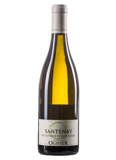 Vin blanc AOC Santenay  - Domaine Antoine Olivier