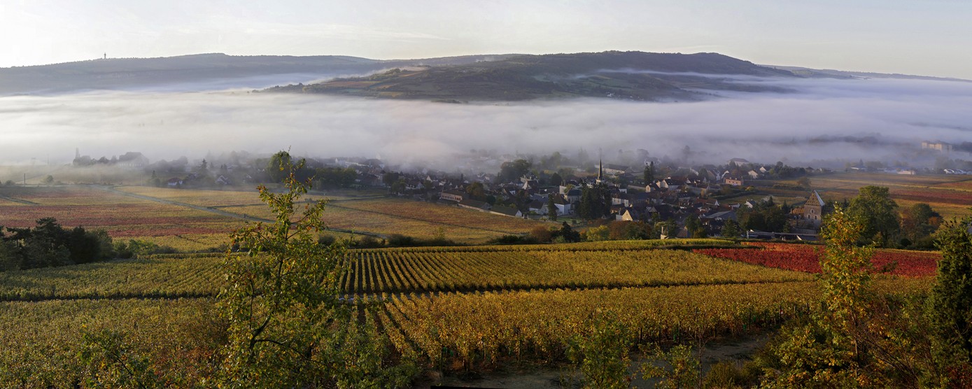 Village dans le brouillard